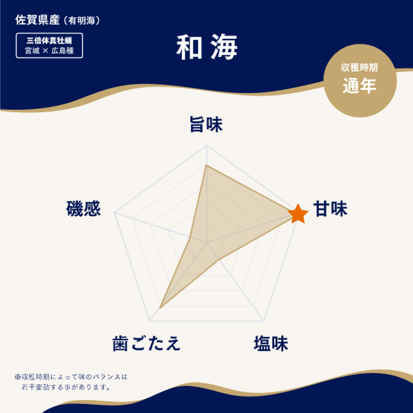 海男オイスターおすすめ1種