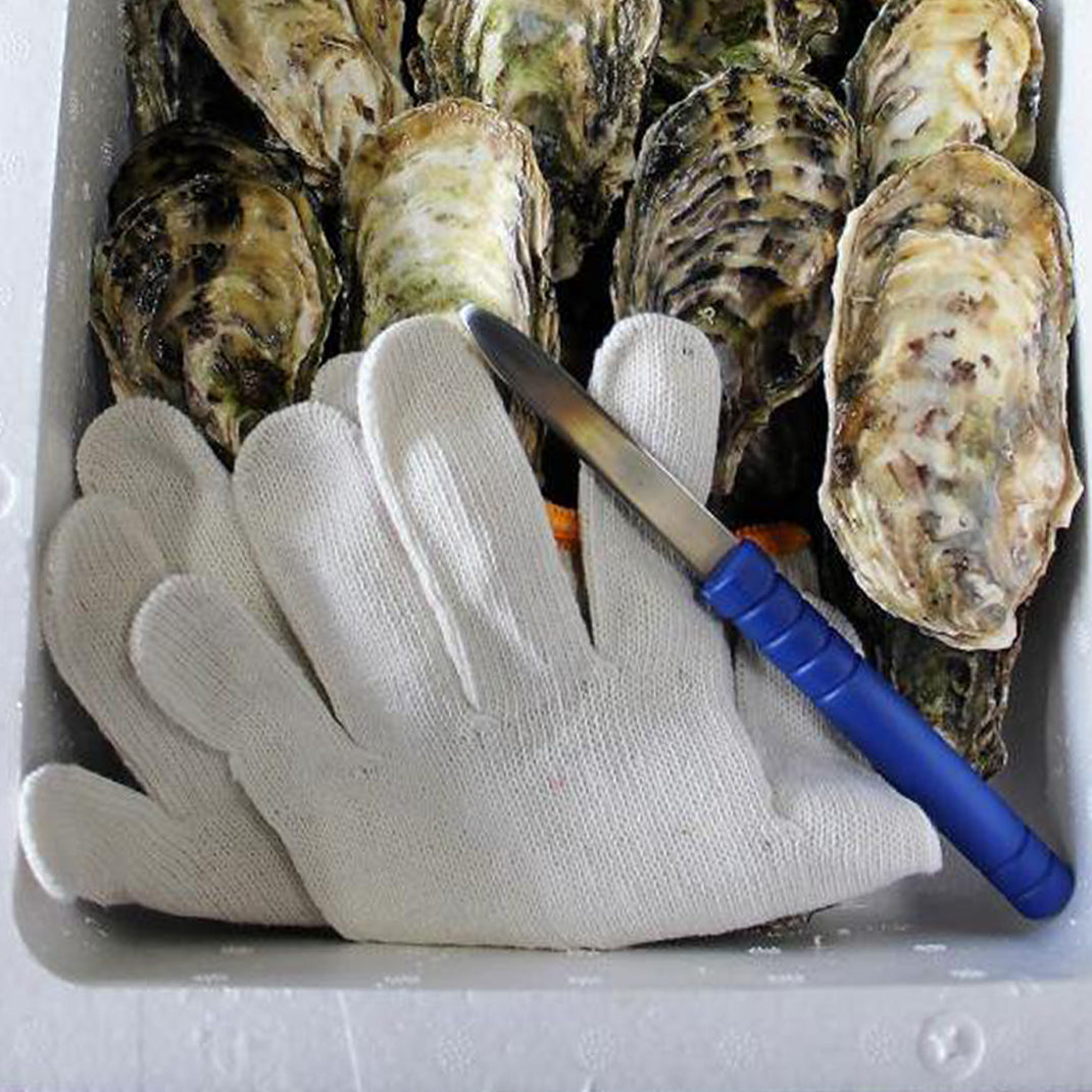 青ナイフセット (簡易ナイフ)