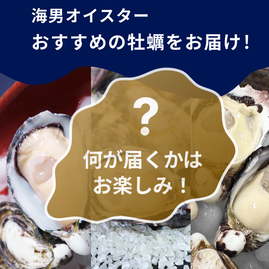 海男オイスターおすすめ1種
