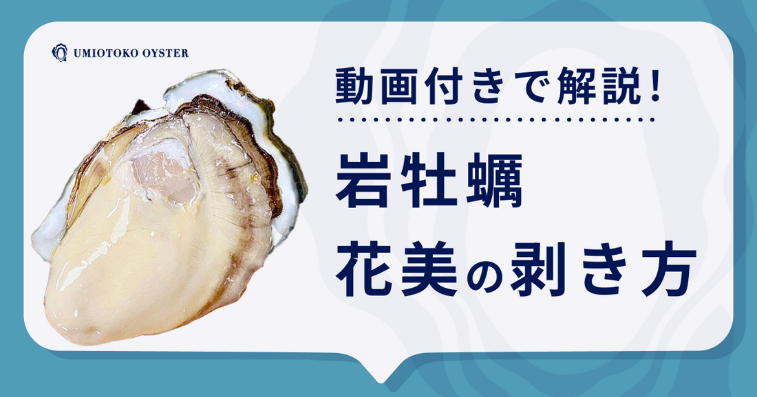 【海男が直伝】誰でも簡単に剥ける！岩牡蠣「花美〜HANABI〜」の剥き方を動画付きで解説！