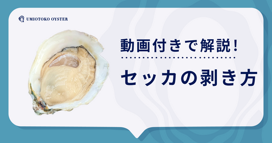【海男が直伝】誰でも簡単に剥ける！「セッカ〜SEKKA〜」の剥き方を動画付きで解説！