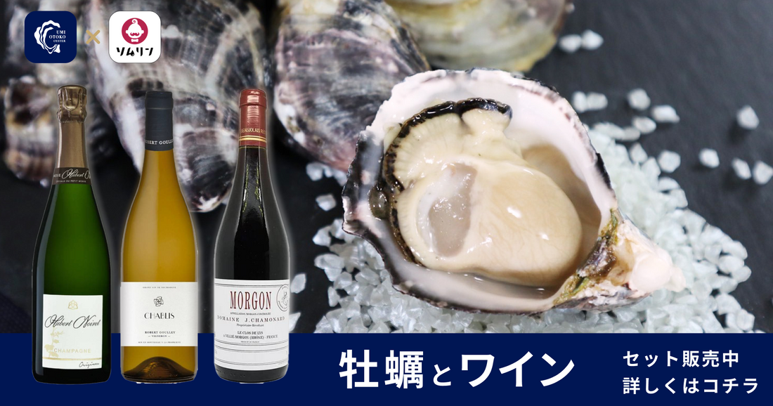 【コラボ商品販売中】ソムリンさん厳選ワイン × 海男オイスター セット