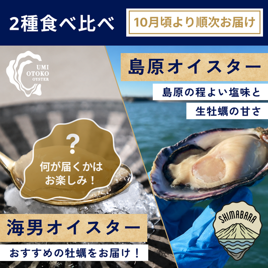 【生食】有明海 2種食べ比べ