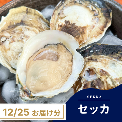 【12/25(水)お届け】セッカ (生食/加熱用)