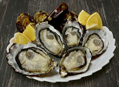 SHIMABARA OYSTER 001