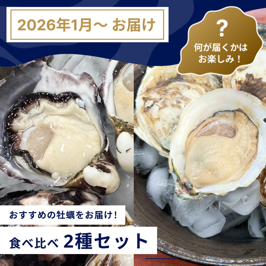 海男オイスターおすすめ2種