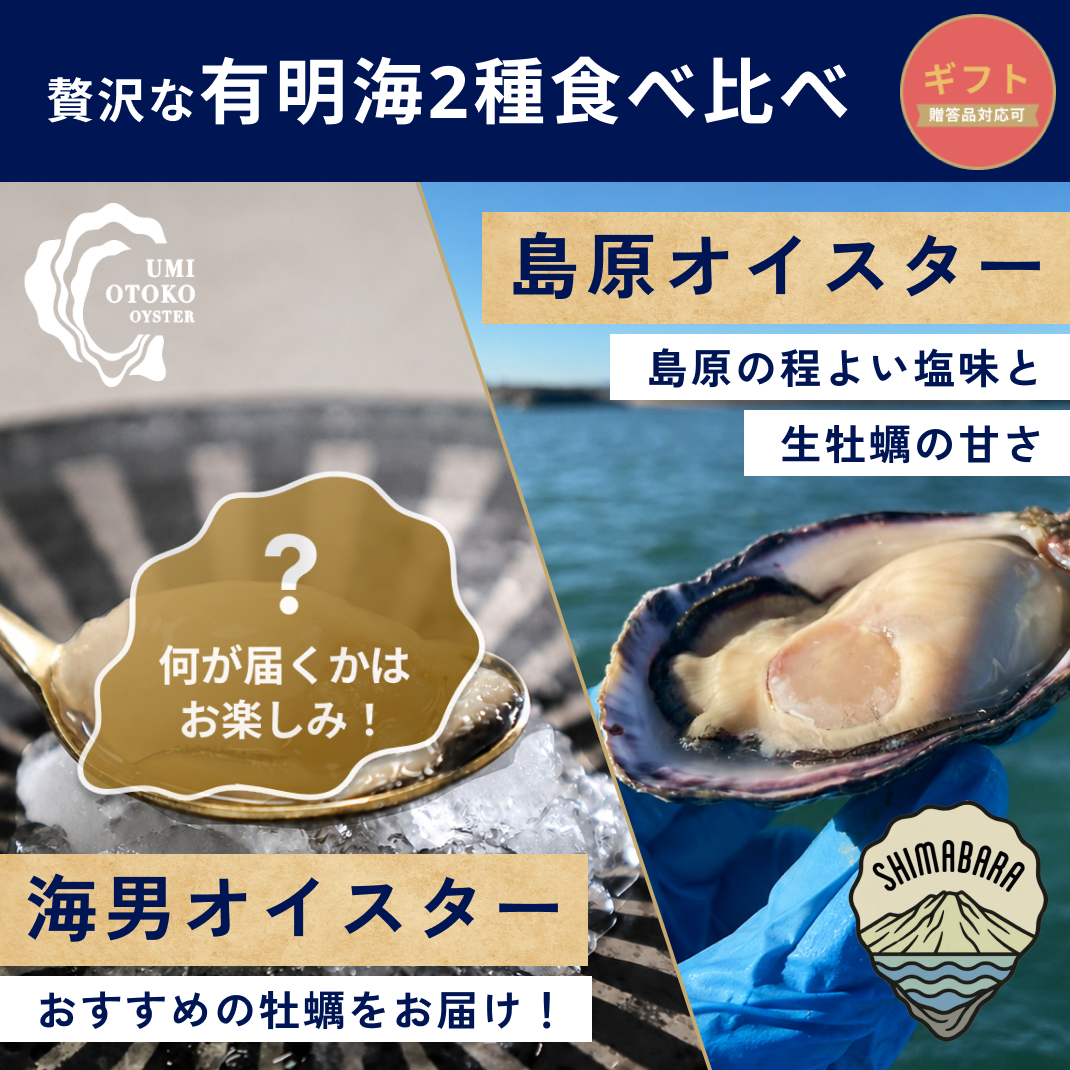 【生食】有明海 2種食べ比べ｜贈答品対応