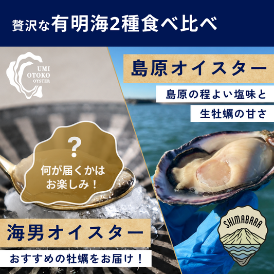 【生食】有明海 2種食べ比べ