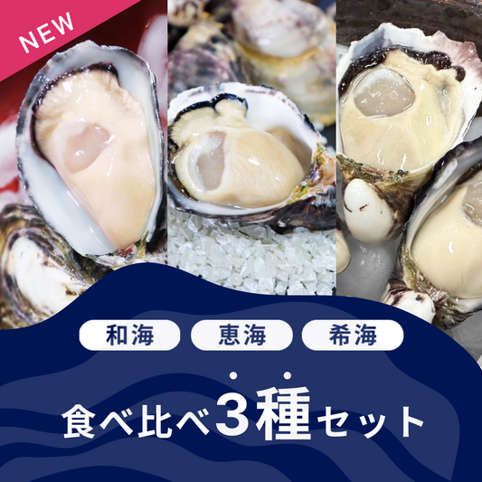 【和海・恵海・希海】3種セット