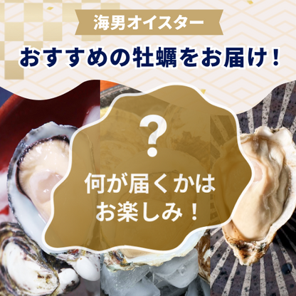 海男オイスターおすすめ1種
