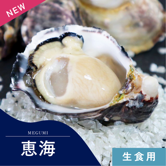 【生食】恵海