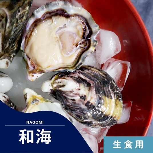【生食】和海 – 海男オイスター