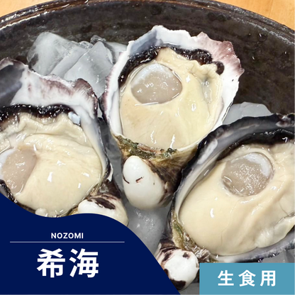 【生食】希海 – 海男オイスター