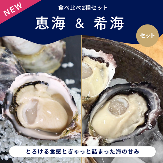 【恵海・希海】2種セット